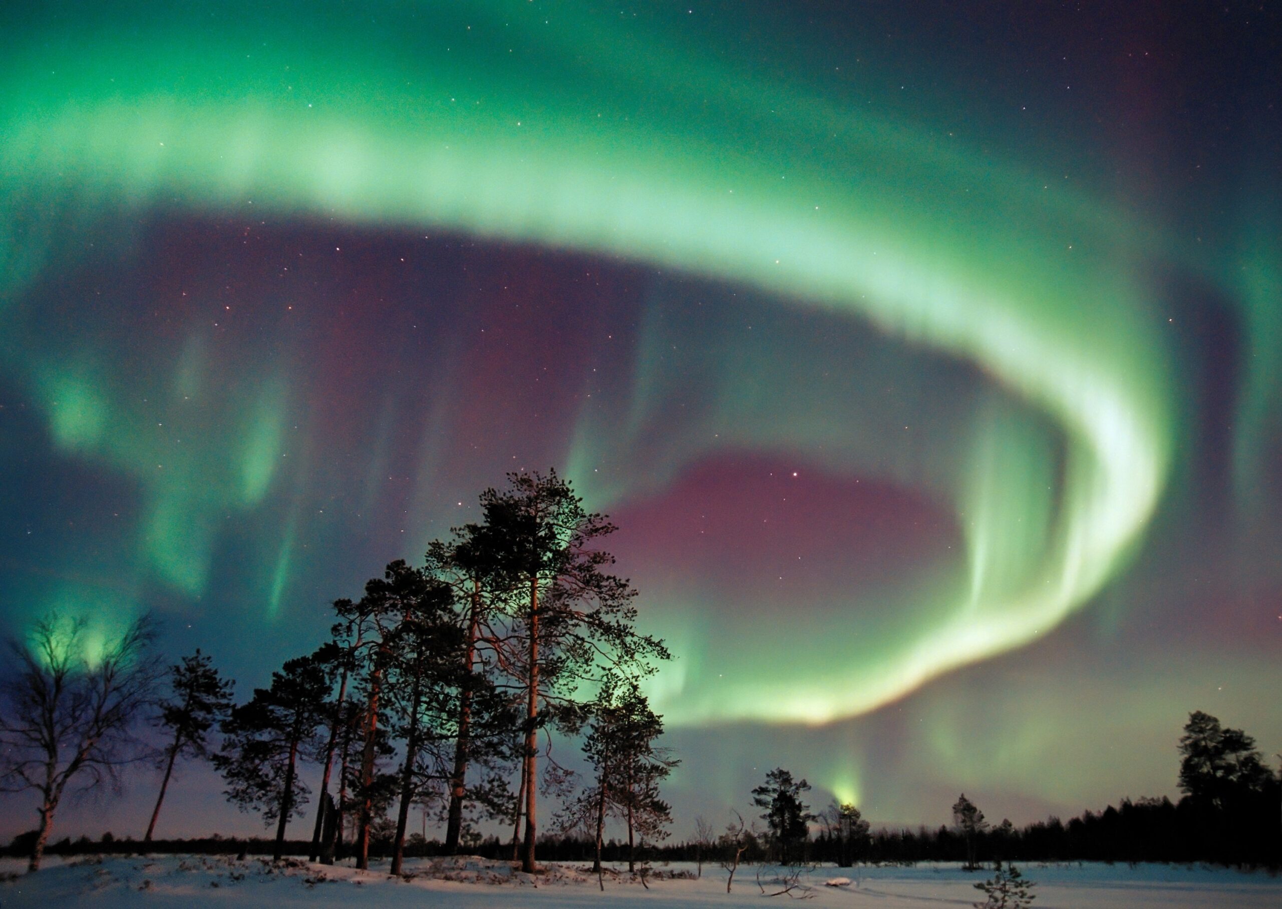 Coming Soon – Scandinavia